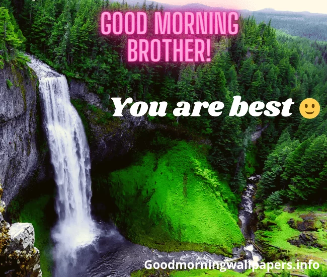 Good Morning Brother You Are Best Image