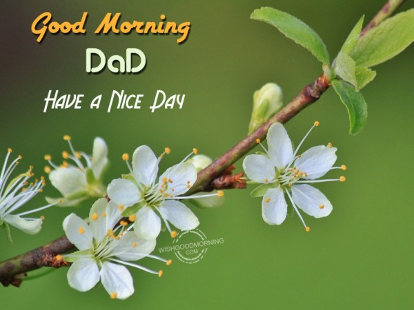 Good Morning Dad Have A Nice Day Photo