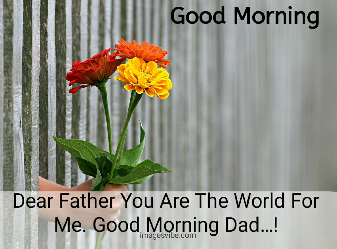 Good Morning Dad You Are The World For Me Photo