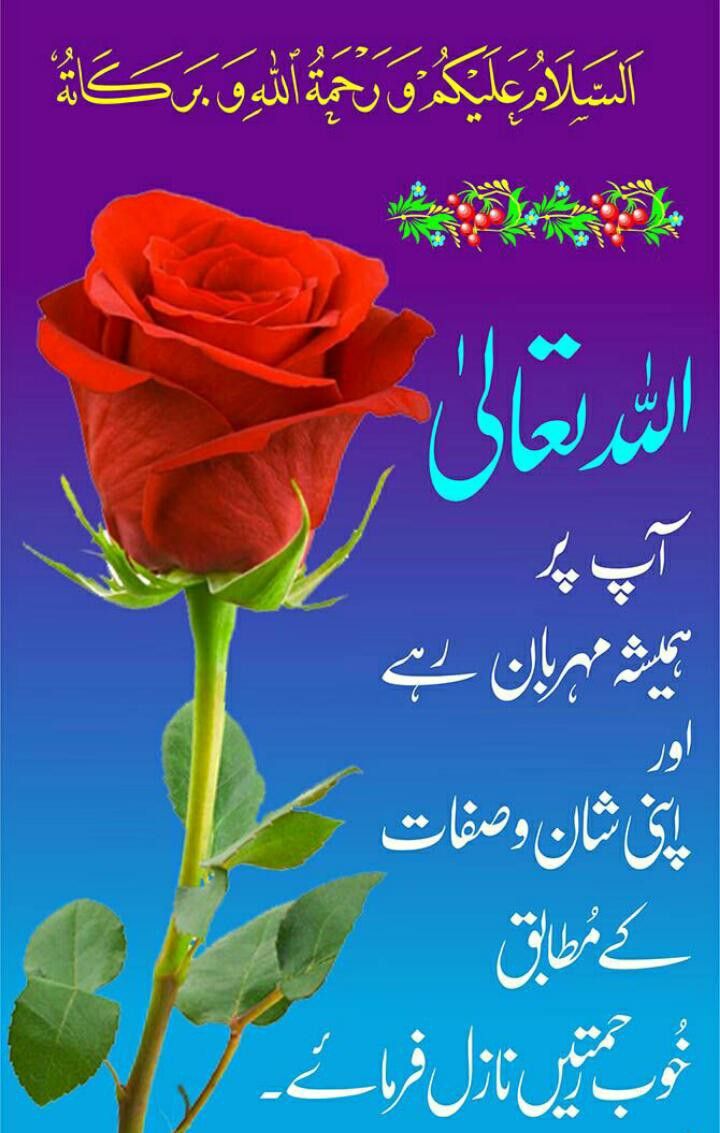 Good Morning Images In Urdu