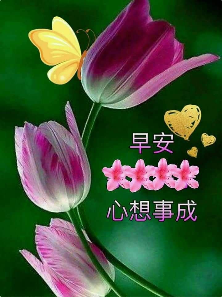 Good Morning In Chinese Image
