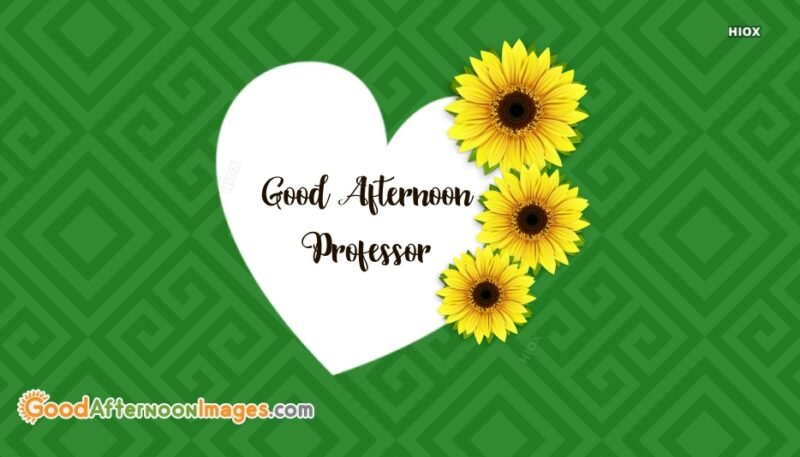 Good Morning Professor Scan Vf www.goodmorningpix.com
