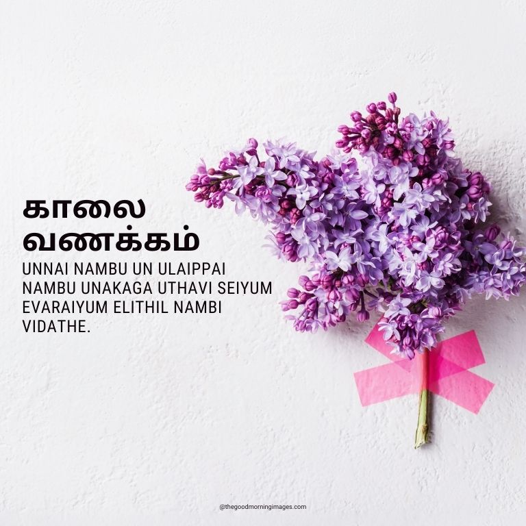 Good Morning Tamil Have A Wonderful Day Image