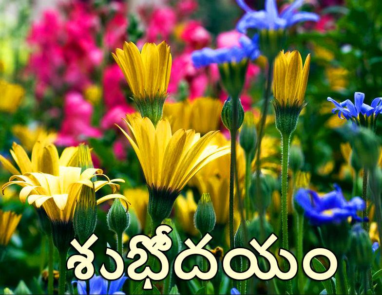 Good Morning Telugu Messages