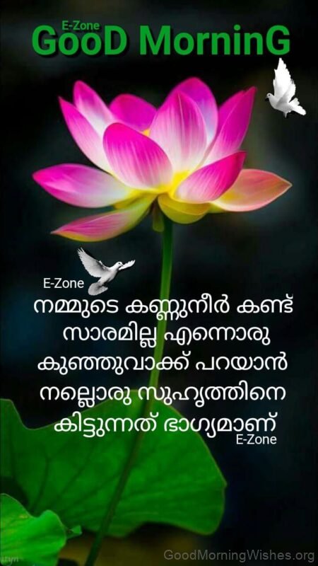 Good Morning Wishes In Malayalam Quote