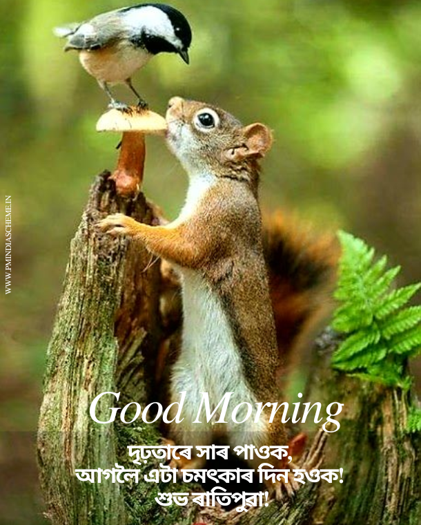 Great Good Morning Assamese Image