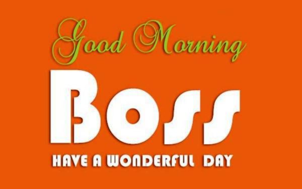 Have A Wonderful Day Boss