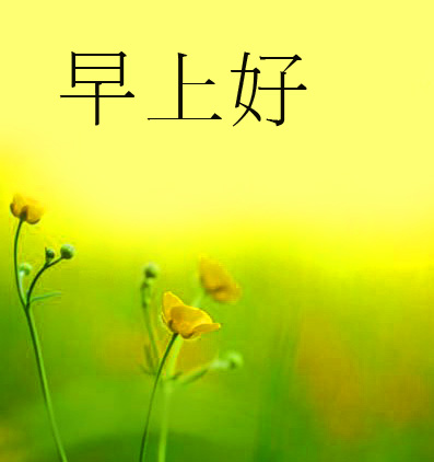 Inspiring Flowers Chinese Wallpaper