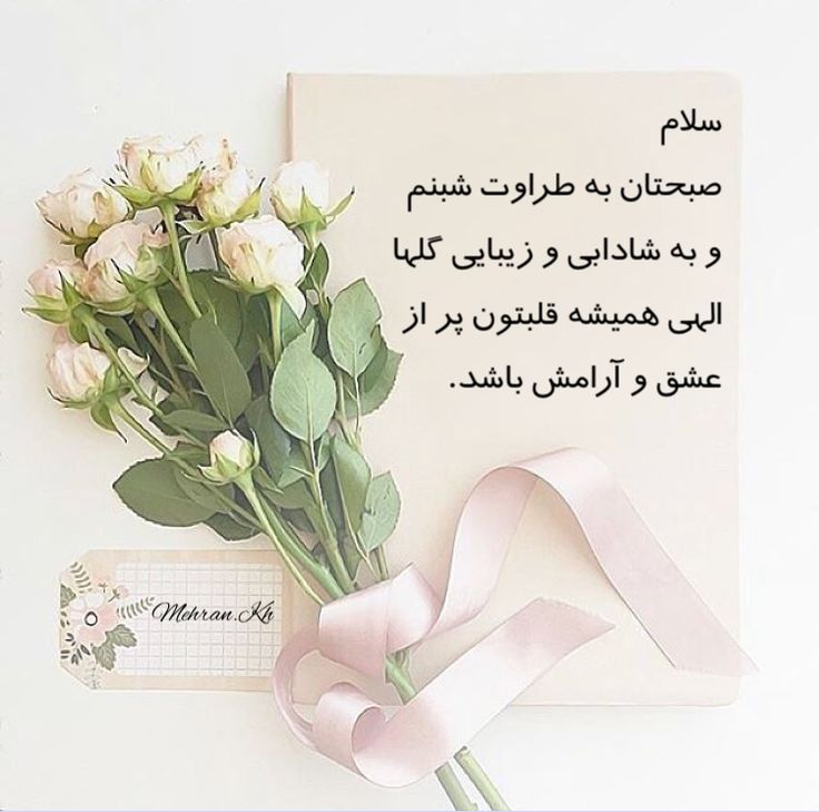 Rose Good Morning Persian