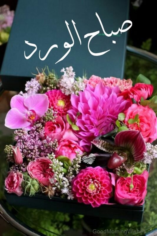 Wish Good Morning Arabic