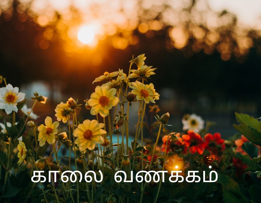 Wonderful Good Morning In Tamil Pic