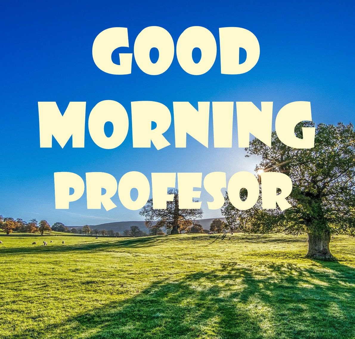 Wonderful Good Morning Professor Pic