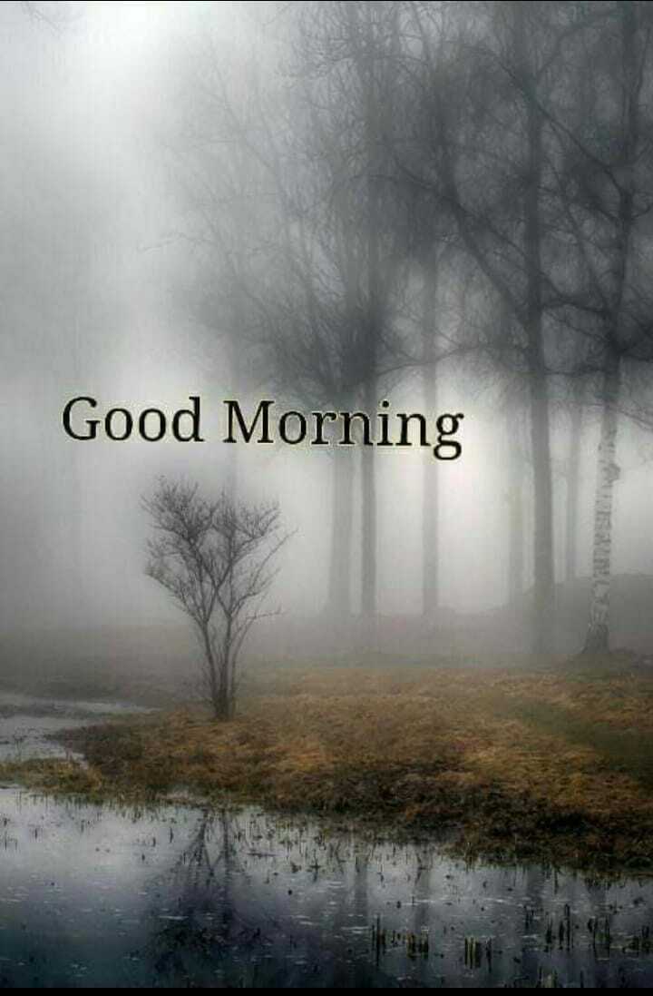 Best Good Morning Fog