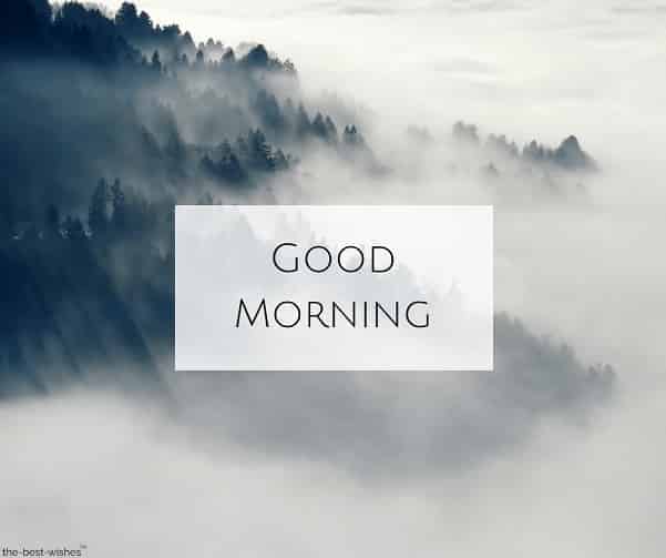 Good Morning Fog Have A Beautiful Day
